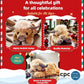 🥳 Mega-rea 60 % RABATT 🎁Söt Tecknad Highland Cow Gosedjur🔥Köp 2 för Fri Frakt