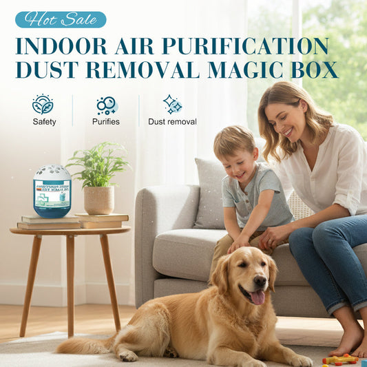 🔥2026 New Collection-70% OFF⏰Indoor Air Purification Dust Removal Magic Box🏠🌿